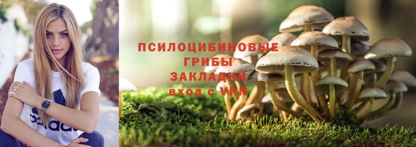 таблы Надым