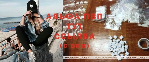 мяу мяу мука Михайлов