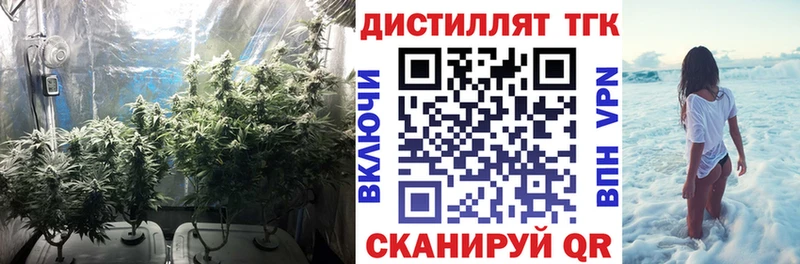 Дистиллят ТГК жижа  сколько стоит  Энем 